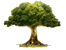 Personal Growth